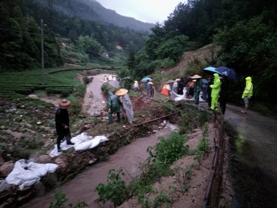 英山人口_英山县的人口民族(3)