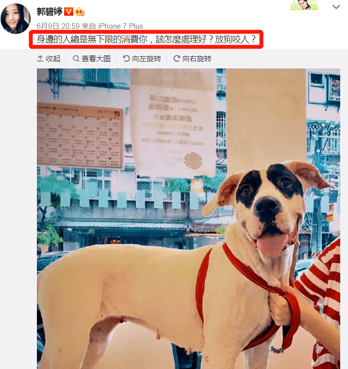 这回怀孕实锤了吧？之前老公暗示婆婆否认又是什么操作…