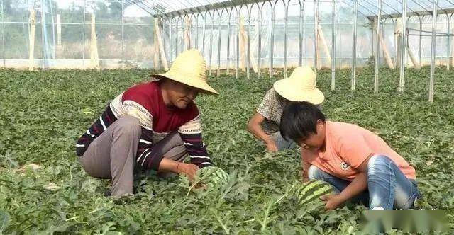 乾县多少人口_乾县豆腐脑