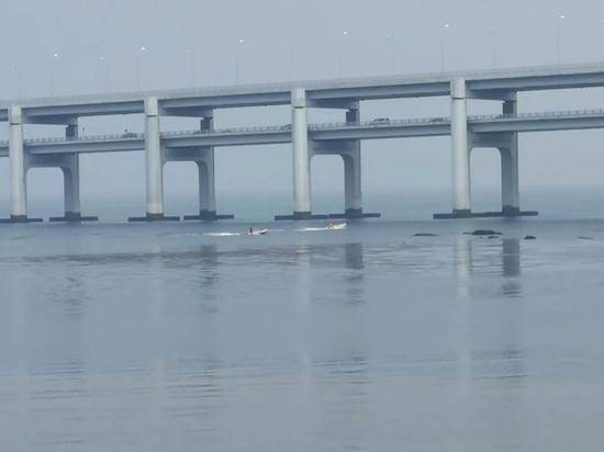 应急|大连一家三口坠海 母亲和3岁孩子至今仍失联