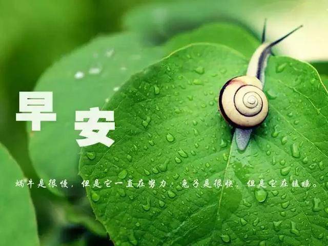 4a21a99dbe0c4641a87f8d5db7b6e930.jpeg