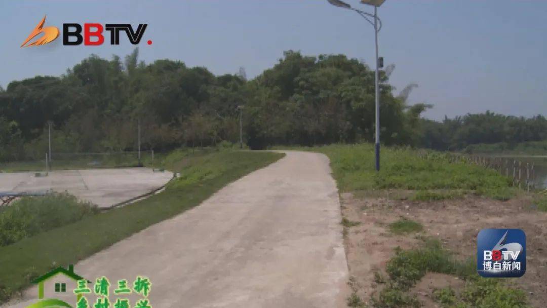 厉害了!博白这条村屯大变身,成为了休闲胜地