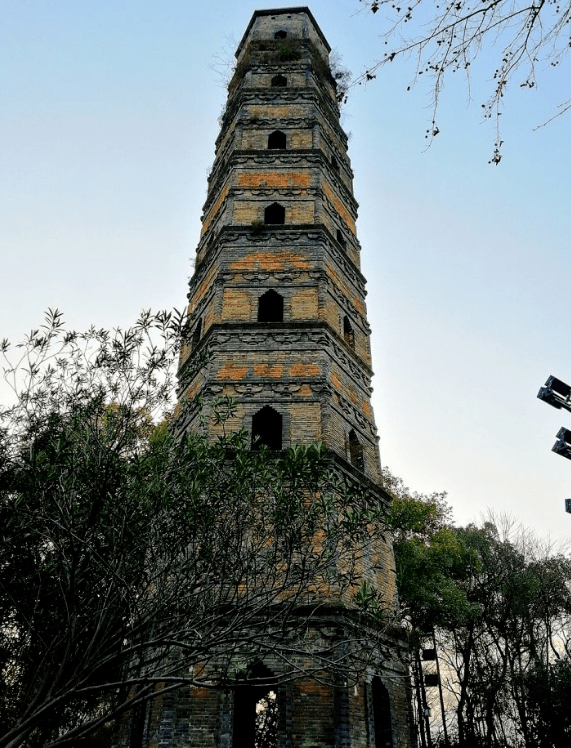 在浦江,逛公园,赏美景