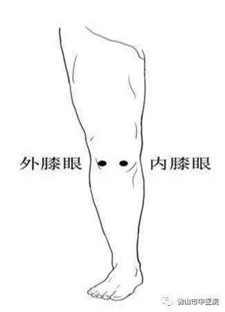 膝眼穴 来自搜狐网