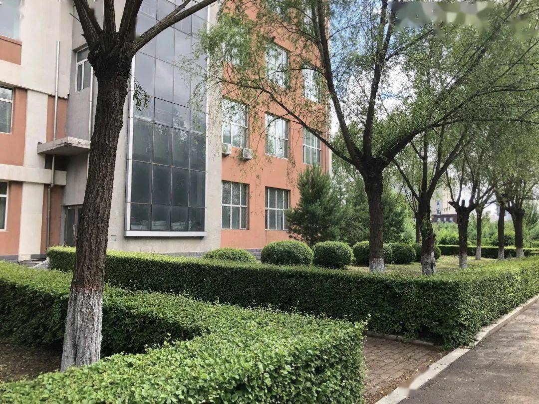 哈尔滨广厦学院校园美景