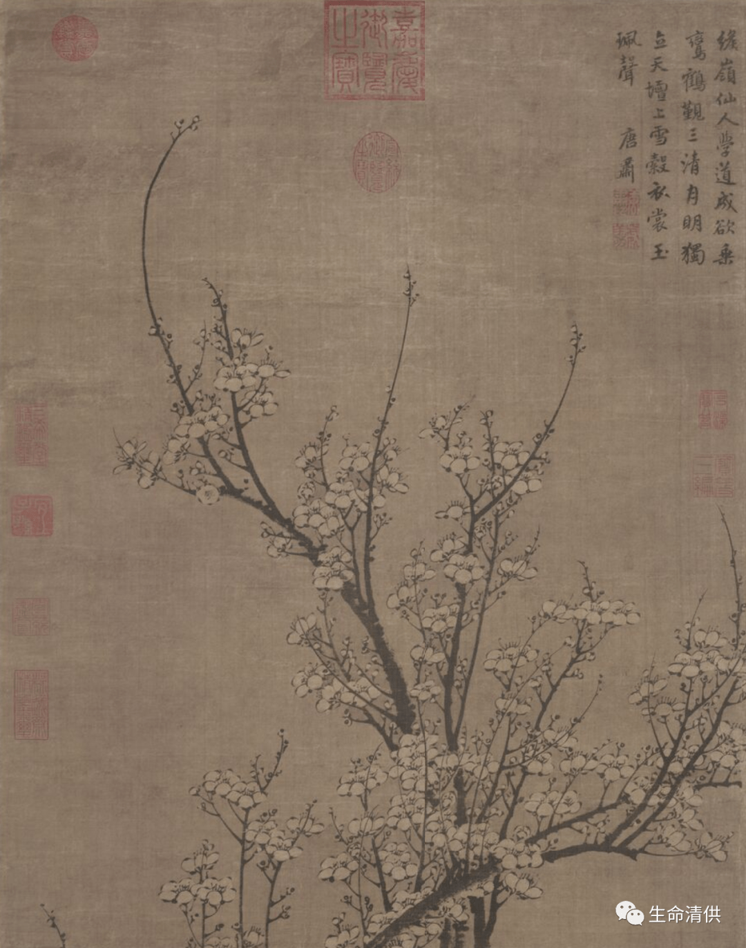 元 王冕 南枝春早圖 YS4936 掛軸 絹本 中華民國 國立故宮博物院