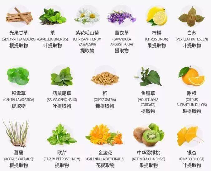 李佳琦推荐的脱发克星!一次就能拯救头屑头痒头油,用了它头发都会跳舞!