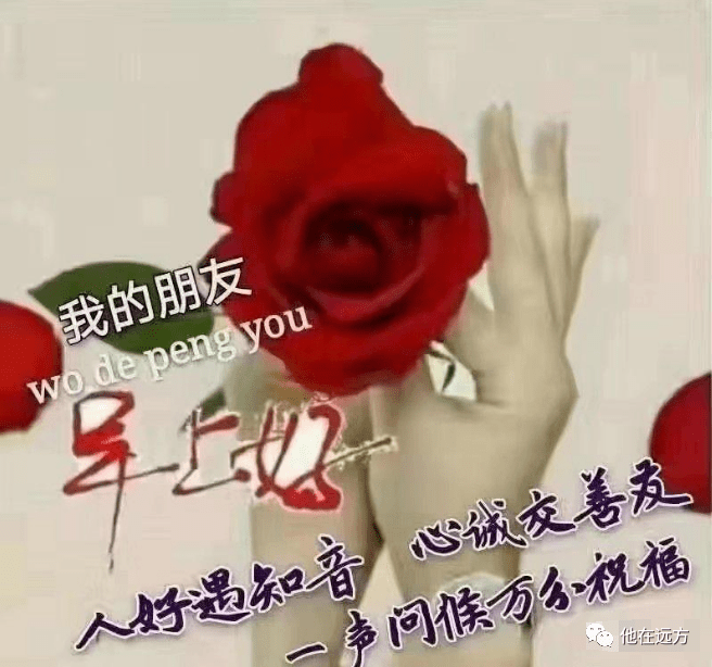 牵挂,时时在心;友情,一生永留