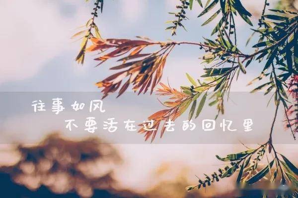 看淡的简谱_看淡一切的图片