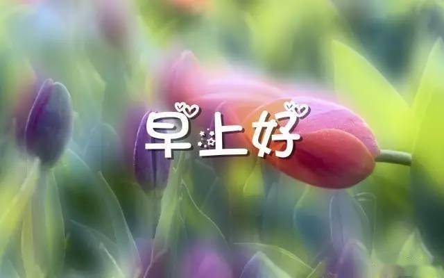 6a640a99dc6d4b8aaa28d4aa1a2ff516.jpeg