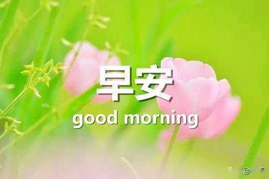 b51536cdc4374c0a8ad63651e626c8e7.jpeg