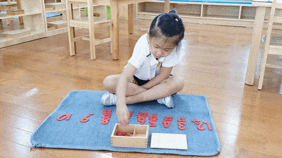 绿意幼儿园招生信息_深圳市宝安区沙井镇幼儿园_沙井优质星级幼儿园