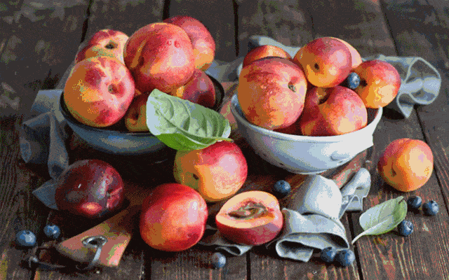 六月的时令水果丰收,今年的黄桃你吃了吗?