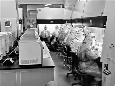 核酸|加大试剂盒产能 提升采样检测能力