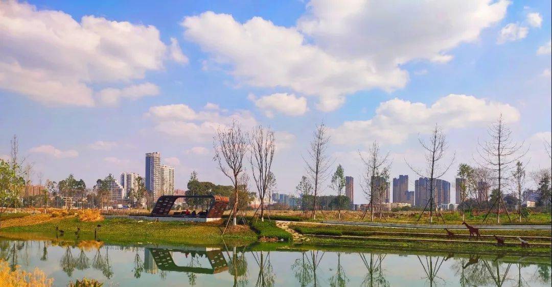 昔与今透过城市面貌看青白江60年巨变
