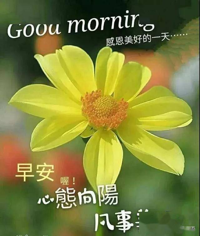 朋友,早安,我把一切美好祝福送给你,愿你天天快乐,生活幸福