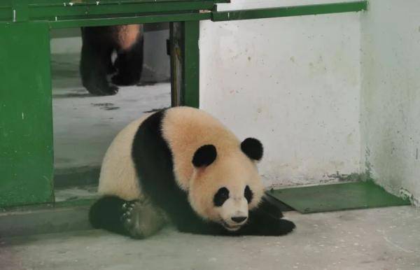 无锡|“缘大”回川，等你回来！