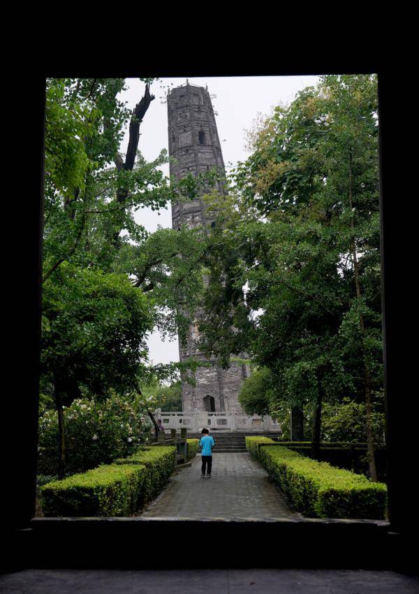 刘颖|雨后天马山