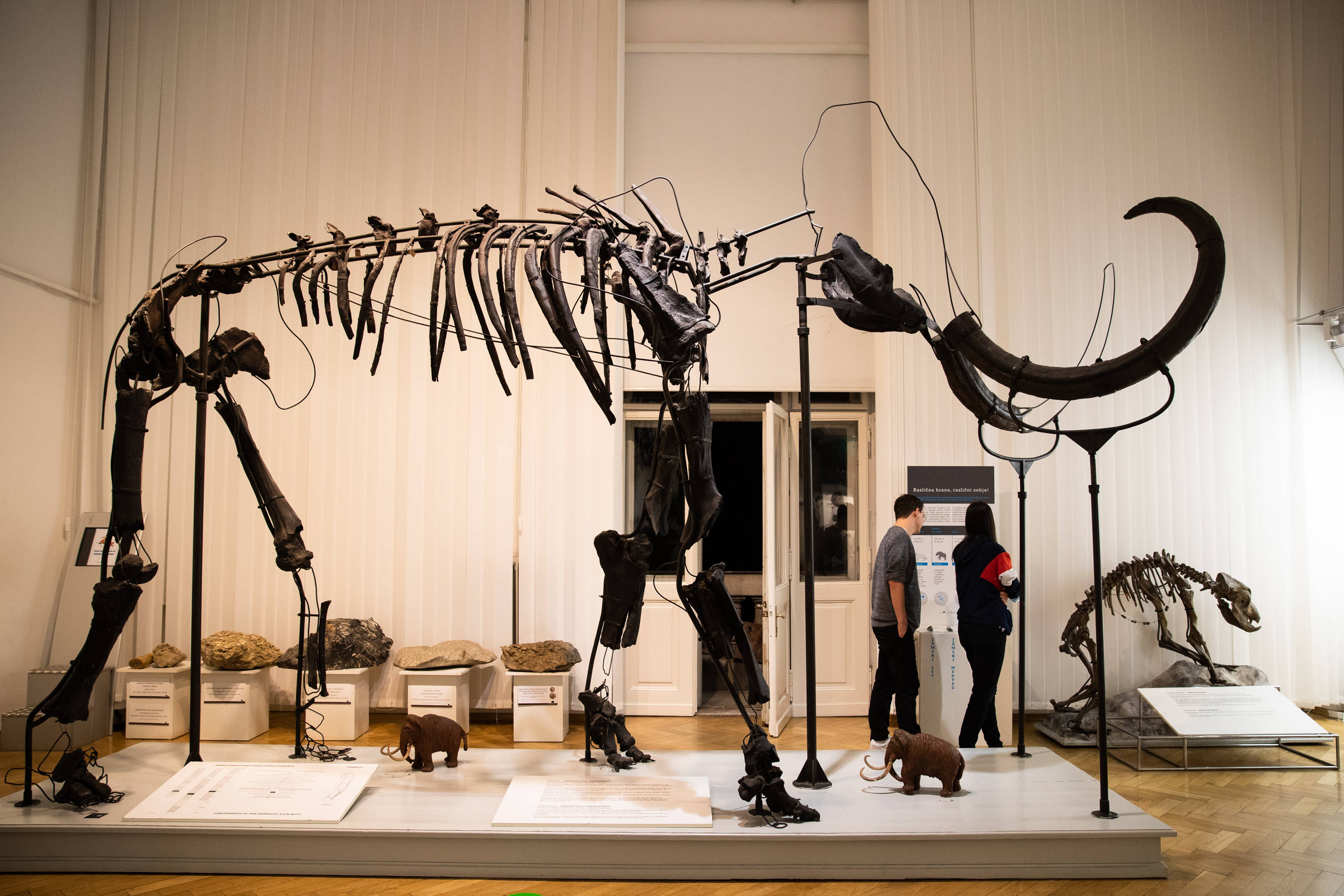 新华社|斯洛文尼亚开启第18届夏季博物馆之夜活动