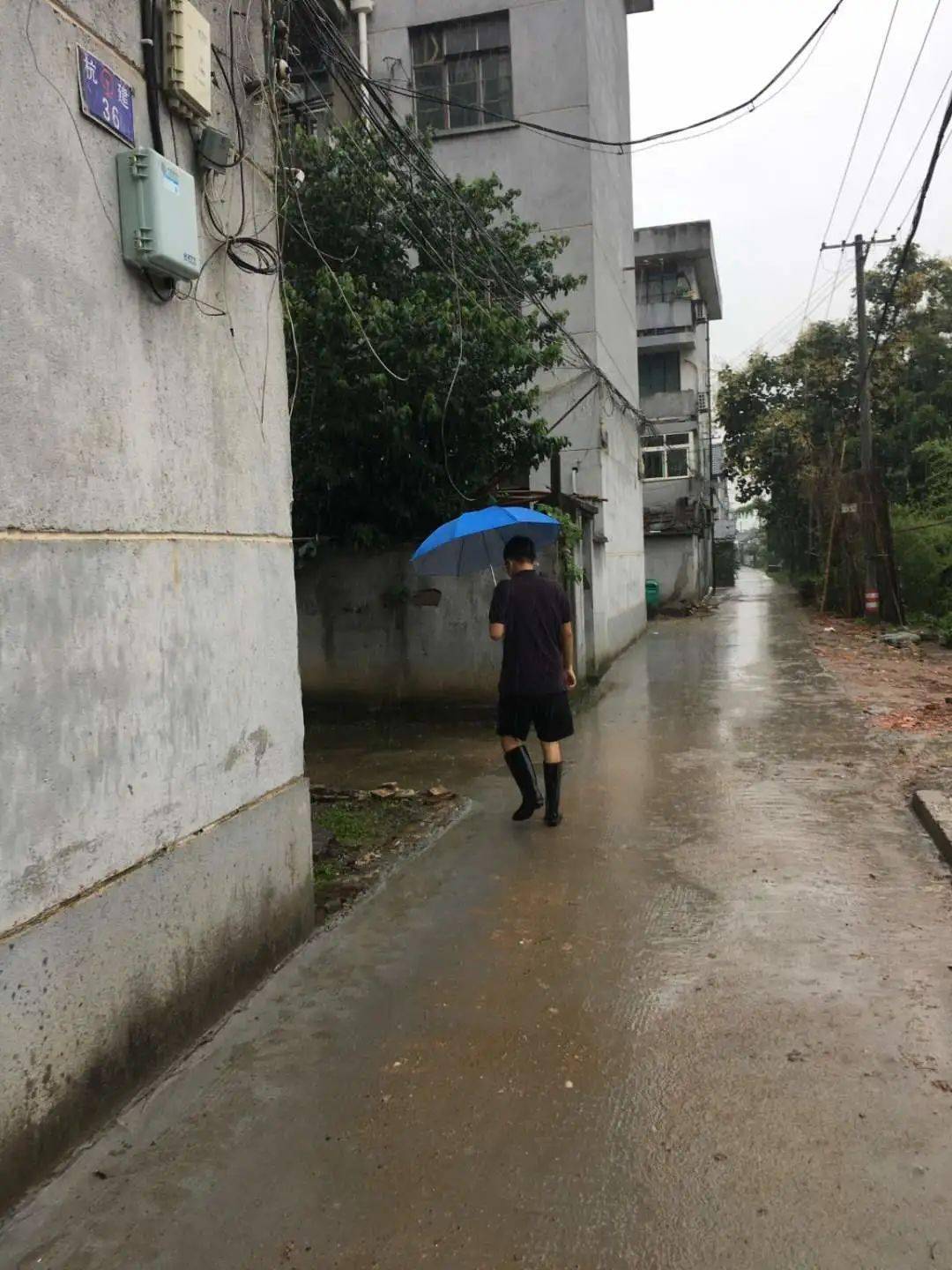 因阜村人口_人口普查(2)