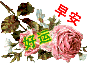 动态照片怎么用 556e0d3bdda849eba782d6dbae9db8de.gif