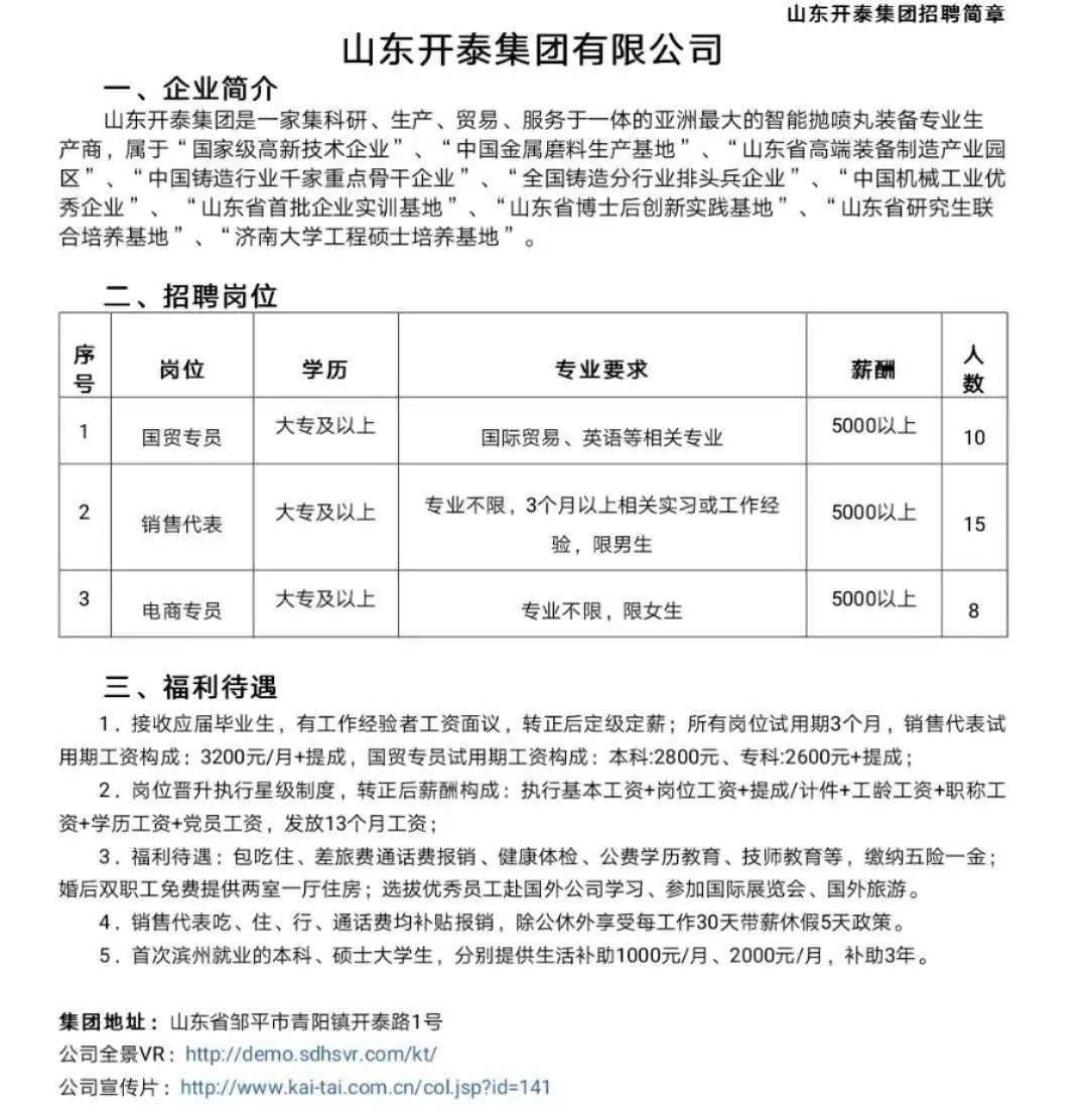 青鸟计划邹平团市委开展山东开泰集团专场线上招聘