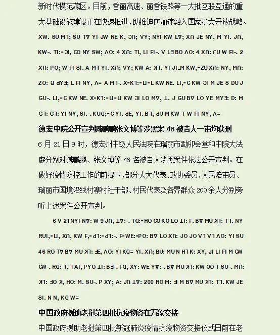 简谱草果_草果图片(2)