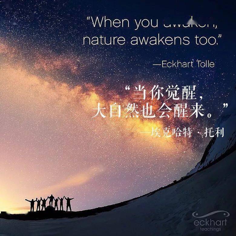 " ——埃克哈特·托利 " 返回搜