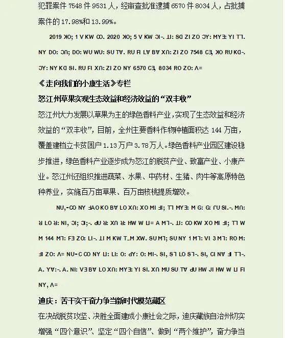 简谱草果_草果图片(2)