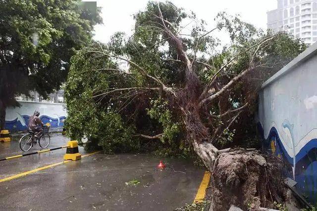 房前屋后风水_房风水屋前后摆放什么_房屋前后的风水