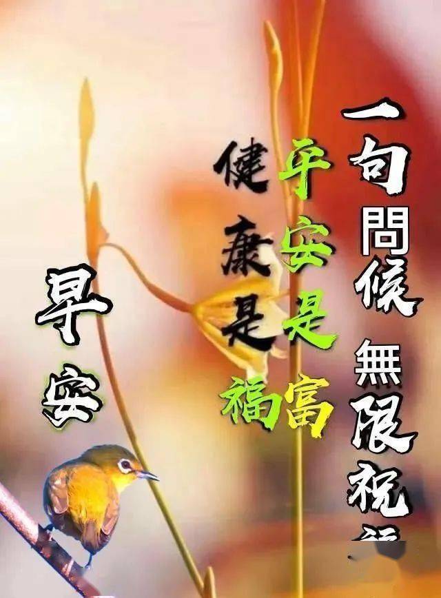 2020大家早上好新版祝福漂亮图片带字 清晨早上好问候