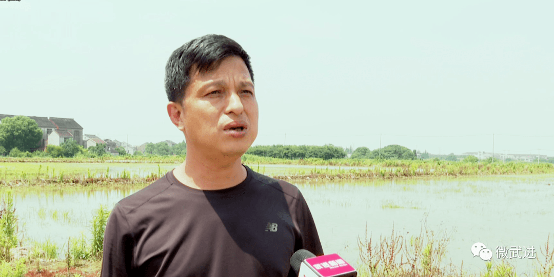 武进洛阳镇2019GDP_常州武进洛阳镇