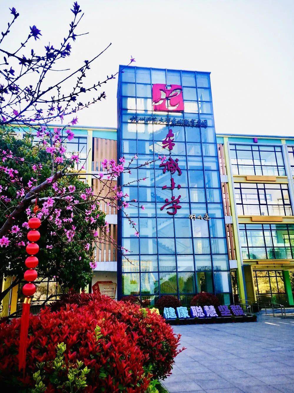 杭州师范大学东城小学2020年一年级招生通告