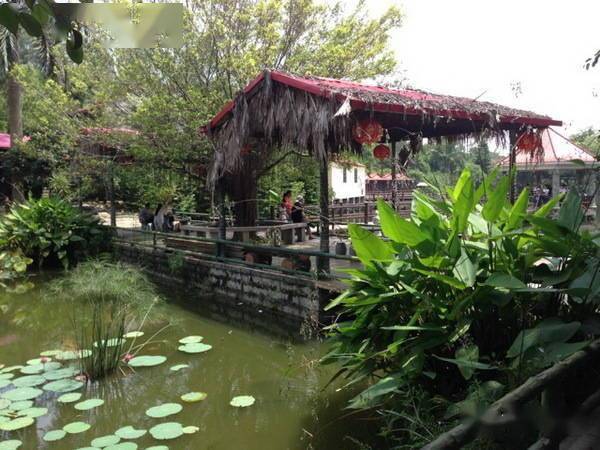 树上小木屋价格 90ec3315ead244698d6a2f585e0b1927.jpeg