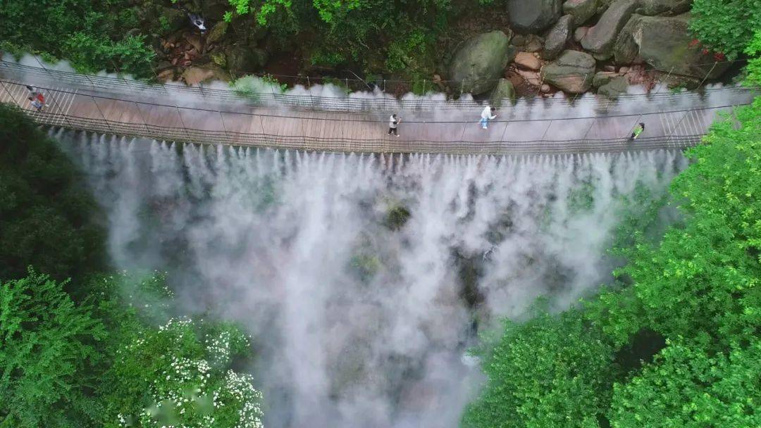 天台山丨99元抢特价门票高山玩水包粽子森林音乐秀与萤火虫一起过端午