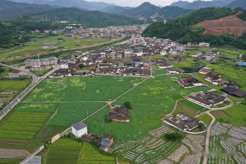 【省级乡村试点村(五 漳平市双洋镇东洋村:活化传统村落 助推乡村