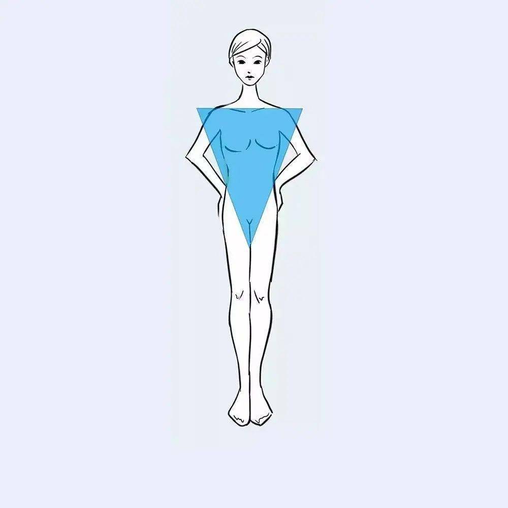 a体型为正常体型,b体型腹部略突出,c体型为肥胖体, y体型为宽肩细腰.