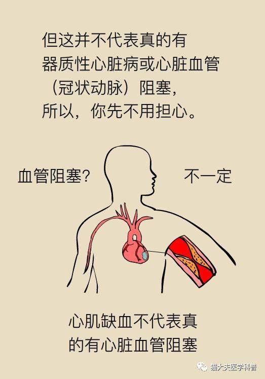 怎么样才能变得气血很足 8eb6f1afc60d459ab3e6ab14dcb522af.jpeg