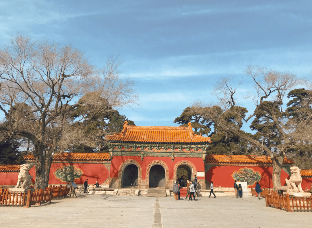 沈阳免费公园排名 e1d57e29658b468ea736c679d47bd0f9.png
