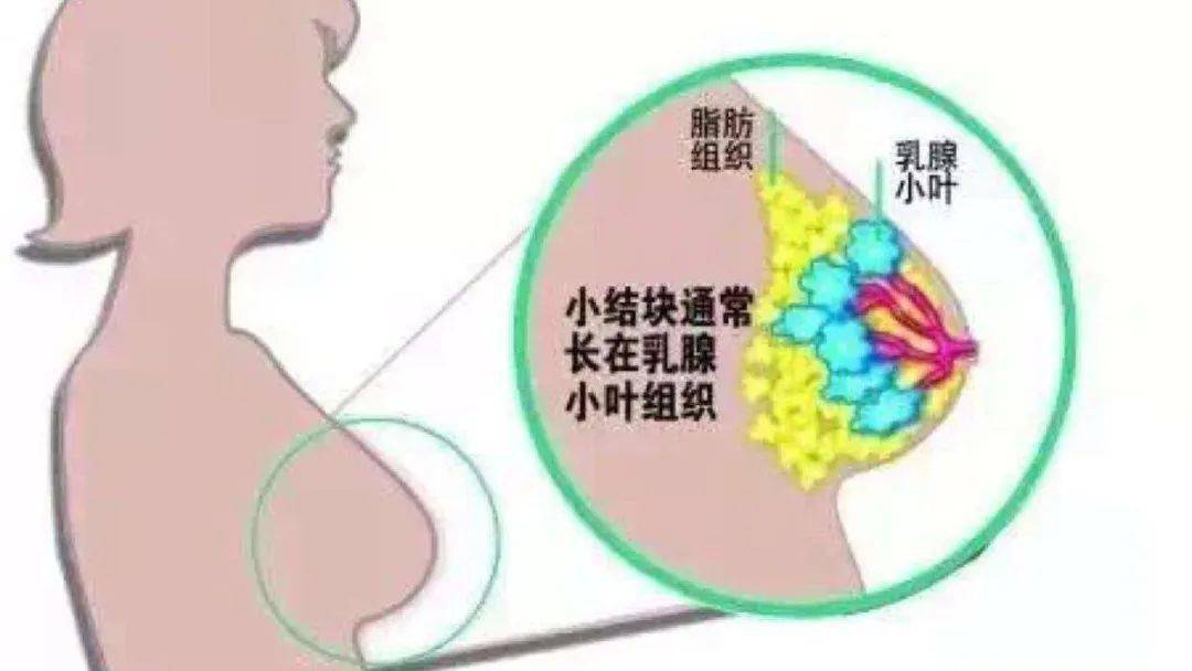 到底是谁在鼓吹"乳房按摩"?