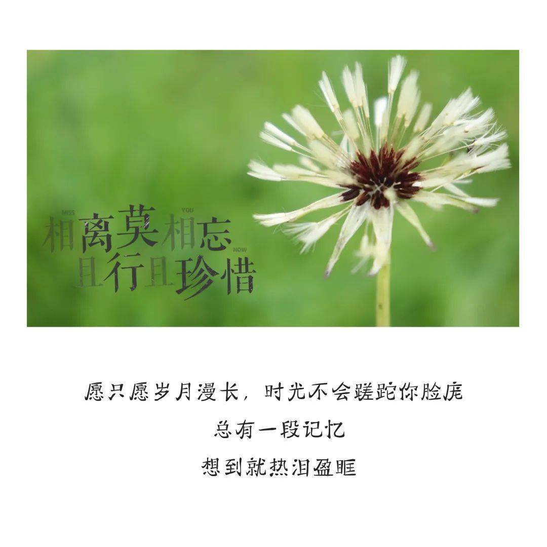 聚日无多请珍重,劳燕分飞话离别 愿你在我看不见的地方安然无恙 愿你