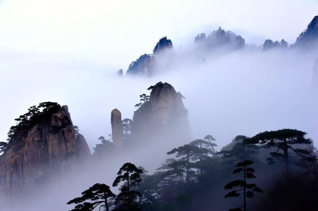 【赴一场夏日黄山的清凉之旅】程秋萍:七月,带娃山中纳凉去