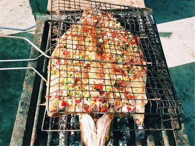 鲶鱼|到底是什么鱼?能不能放心吃烧烤摊15元一条的烤鱼