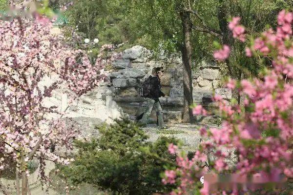 专业|北京语言大学：新增语言学等专业 绝大多数专业不限选考科目