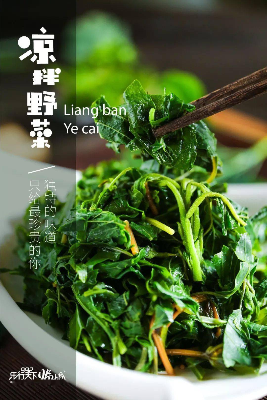 苣苣菜,柳絮叶,沙蓬稞,白蘡[yīng]菜,花椒芽,野莙荙等
