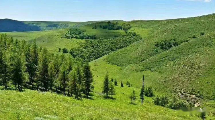 内蒙古哈达门国家森林公园地处大青山南麓,属温带大