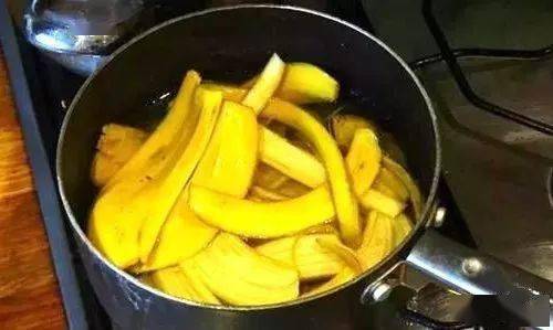 效果|功效翻倍！别剥皮，比黄金还珍贵~水煮一物