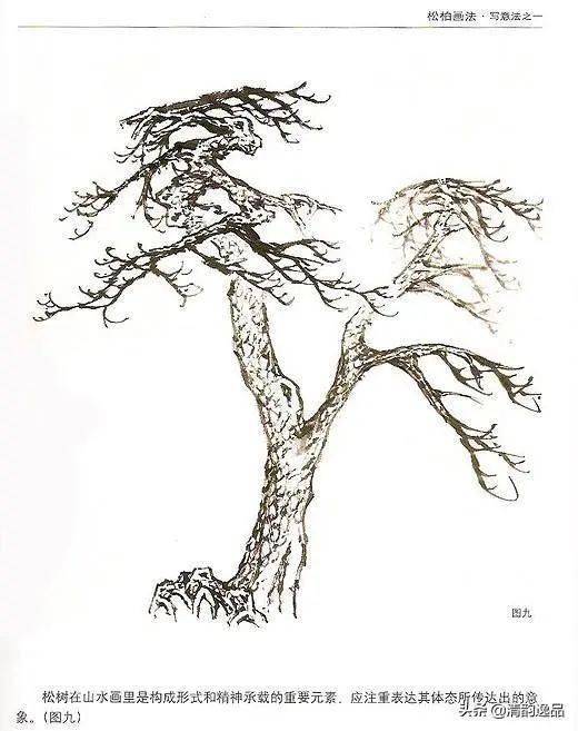 中国画技之松柏画法