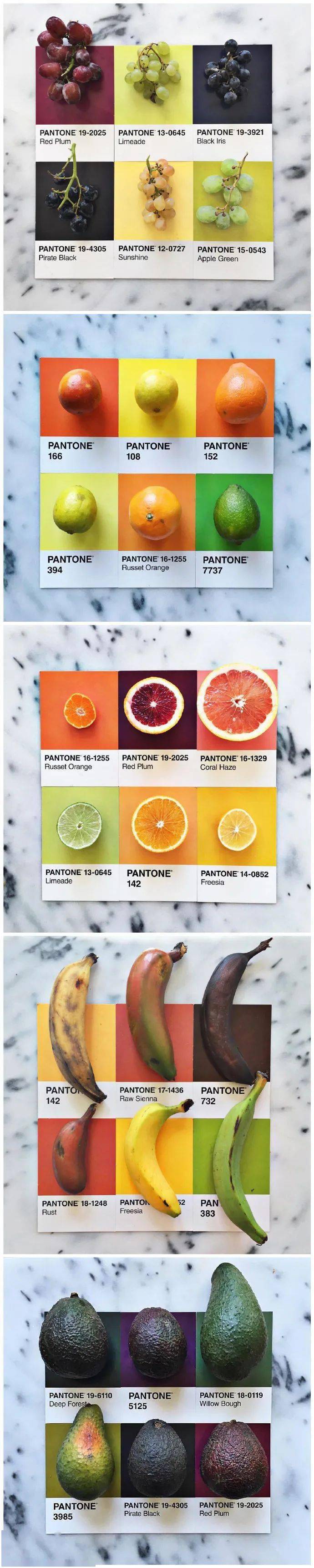 创意|是这样没错！创意 | 食物的色卡