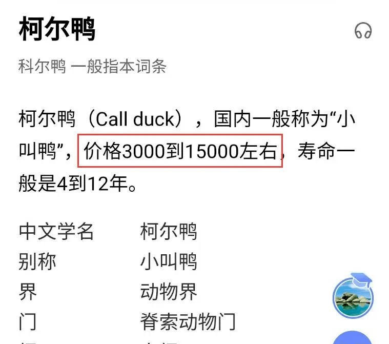 宠物|热搜第一！知名女演员凌晨发“寻鸭启事”！警方最新回应…